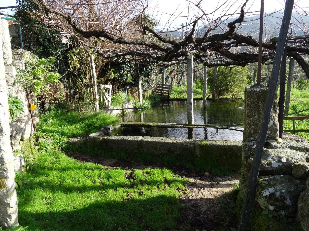 Villa Quinta De S. Cipriano à Resende Extérieur photo
