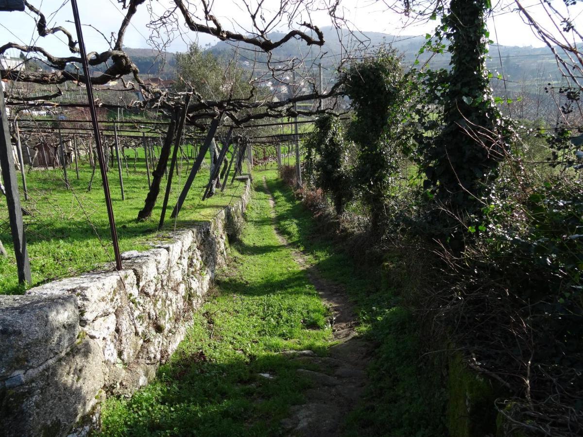 Villa Quinta De S. Cipriano à Resende Extérieur photo