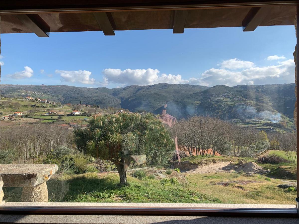 Villa Quinta De S. Cipriano à Resende Extérieur photo