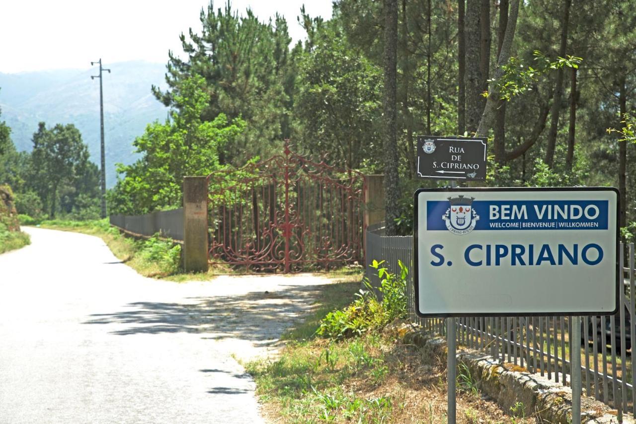 Villa Quinta De S. Cipriano à Resende Extérieur photo