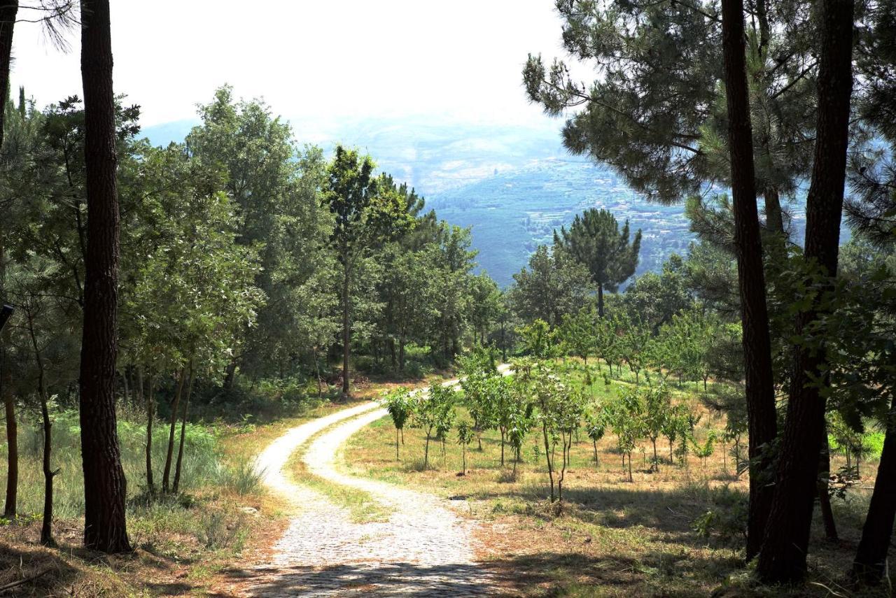 Villa Quinta De S. Cipriano à Resende Extérieur photo