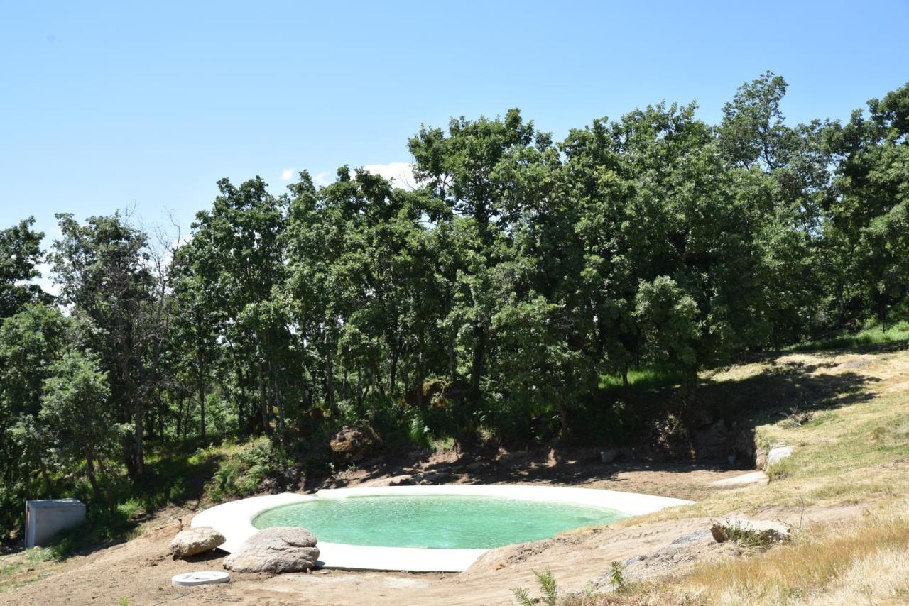 Villa Quinta De S. Cipriano à Resende Extérieur photo