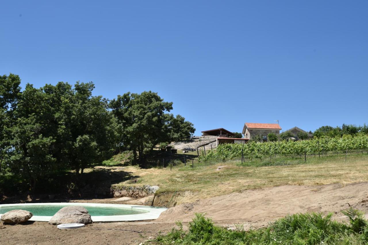 Villa Quinta De S. Cipriano à Resende Extérieur photo