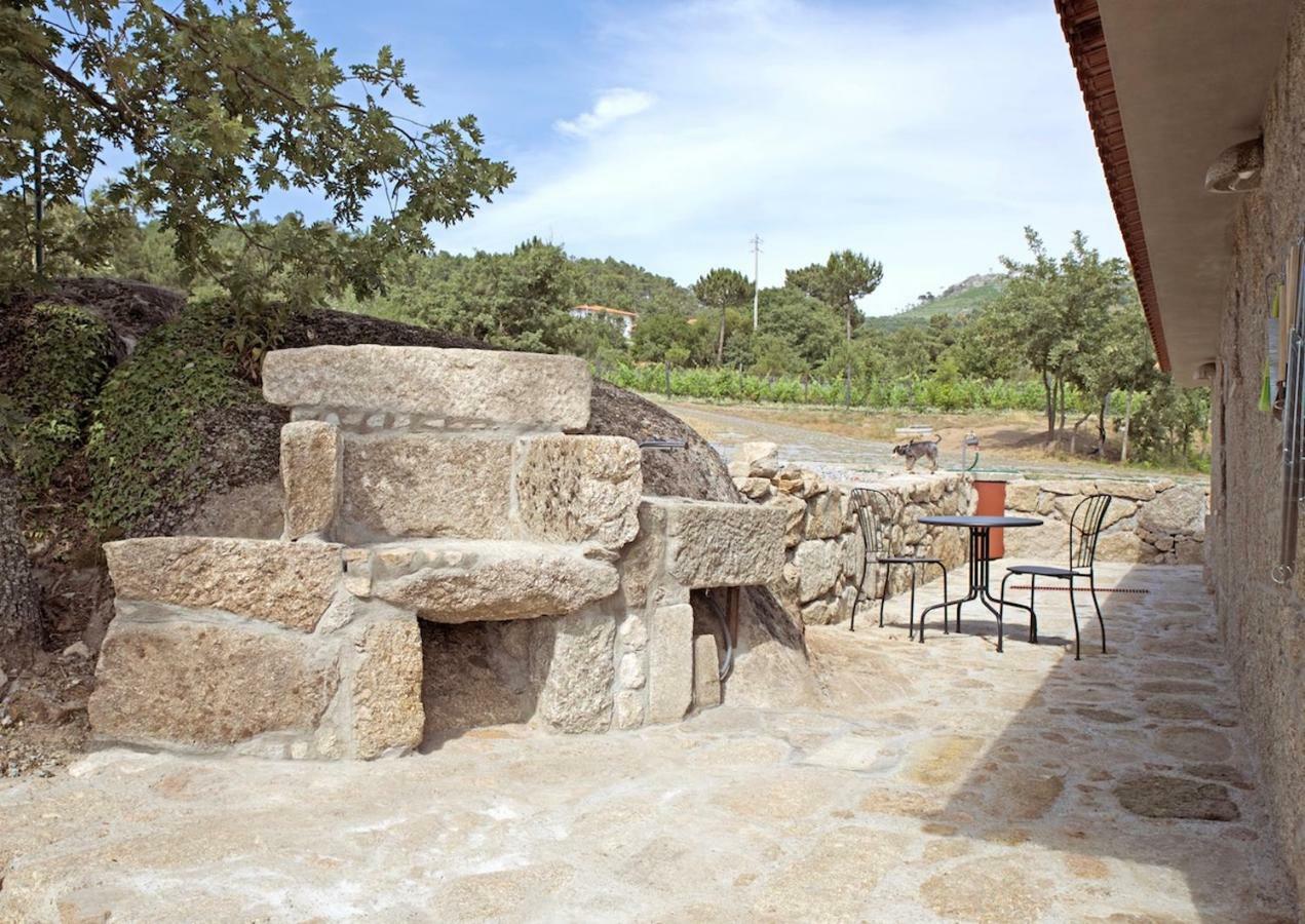 Villa Quinta De S. Cipriano à Resende Extérieur photo